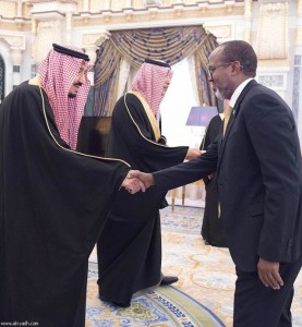 Ambasaador-Dahir-Mohamoud-Gelle-640x693[1]