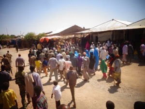 DSC07689-1-1024x768[1]