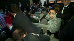 _88138674_88138673[1]