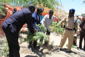 xashiis-muqdisho-1[1]