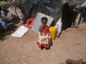 13062969_1192332070807621_5598050797658570174_o[1]