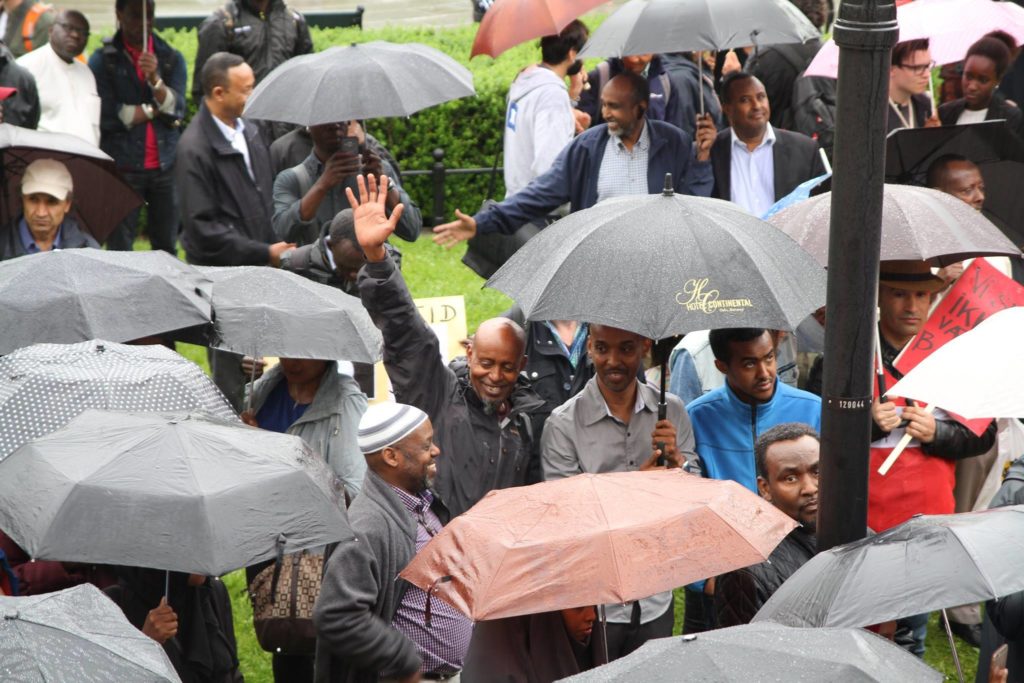 13460827_1757932321110983_800394872_o[1]