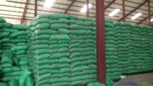 rashinkii-wfpp-ee-la-qabtay-6[1]