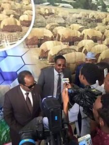 13906617_1344787505549464_3122962575894584630_n[1]