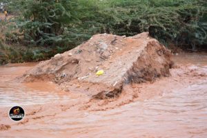 15271727_1145263562259789_1905245326_o[1]