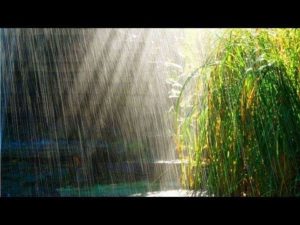 9b2b1fe09e708c847101fc558a45b24a[1]