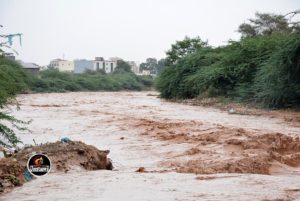 IMG_64F64E-172003-8EE311-2171EA-F22E42-E03012[1]